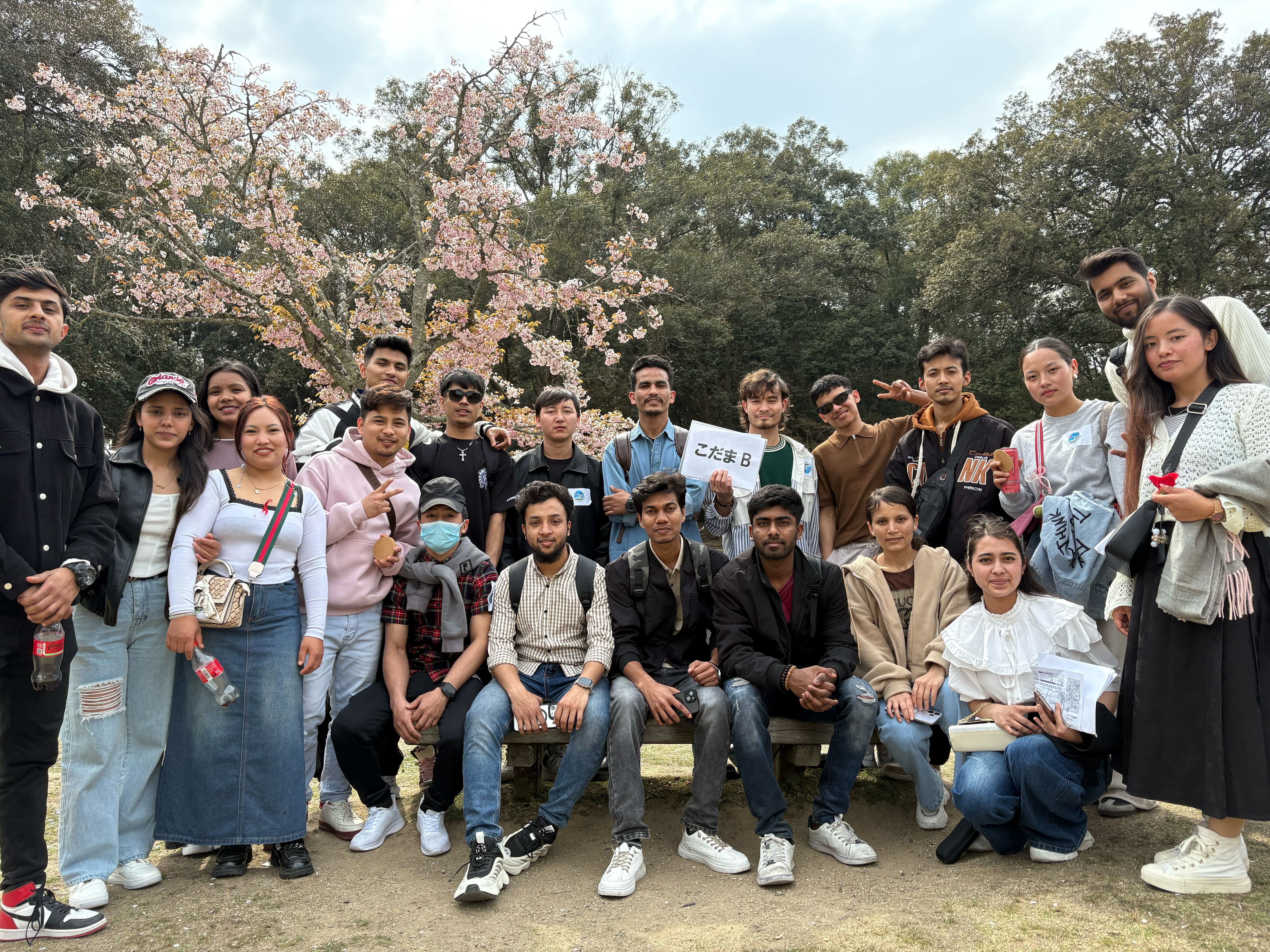 奈良に遠足に行きました。
桜も咲いて、とてもきれいでした！
鹿にエサをあげたり、いろいろな体験ができました。